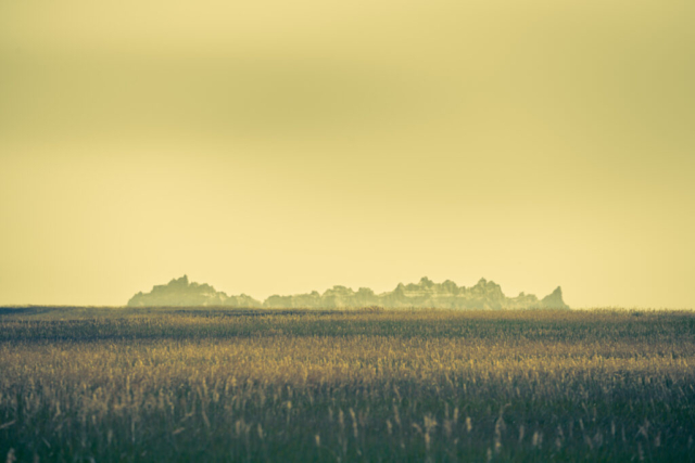 a wheat field spreads out into the distance, with a rocky horizon